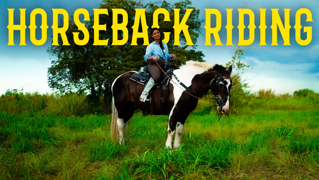 Come Horseback Riding with Me