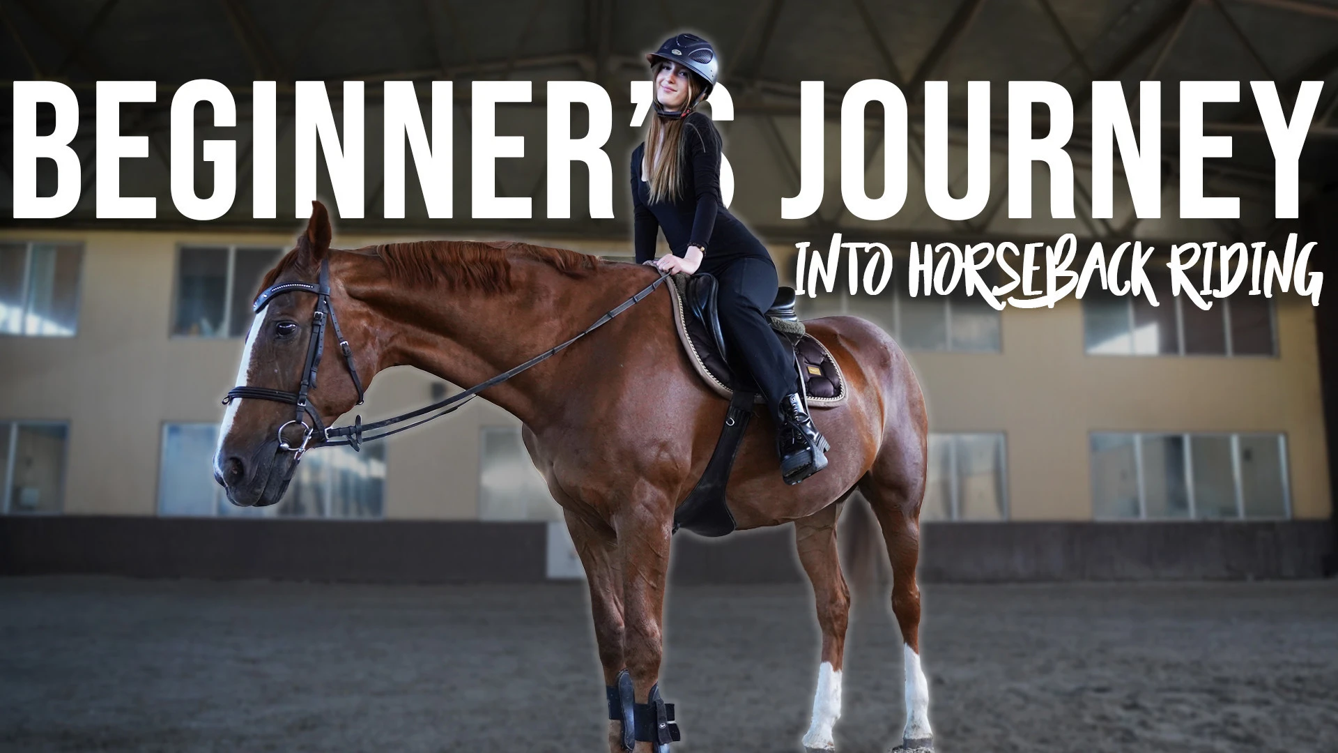 Beginners Journey Into Horseback Riding