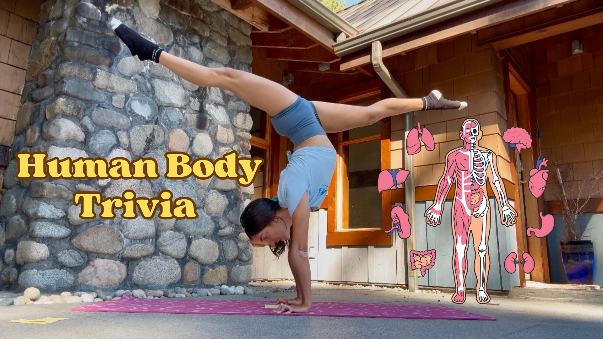 Human Body Trivia Quiz