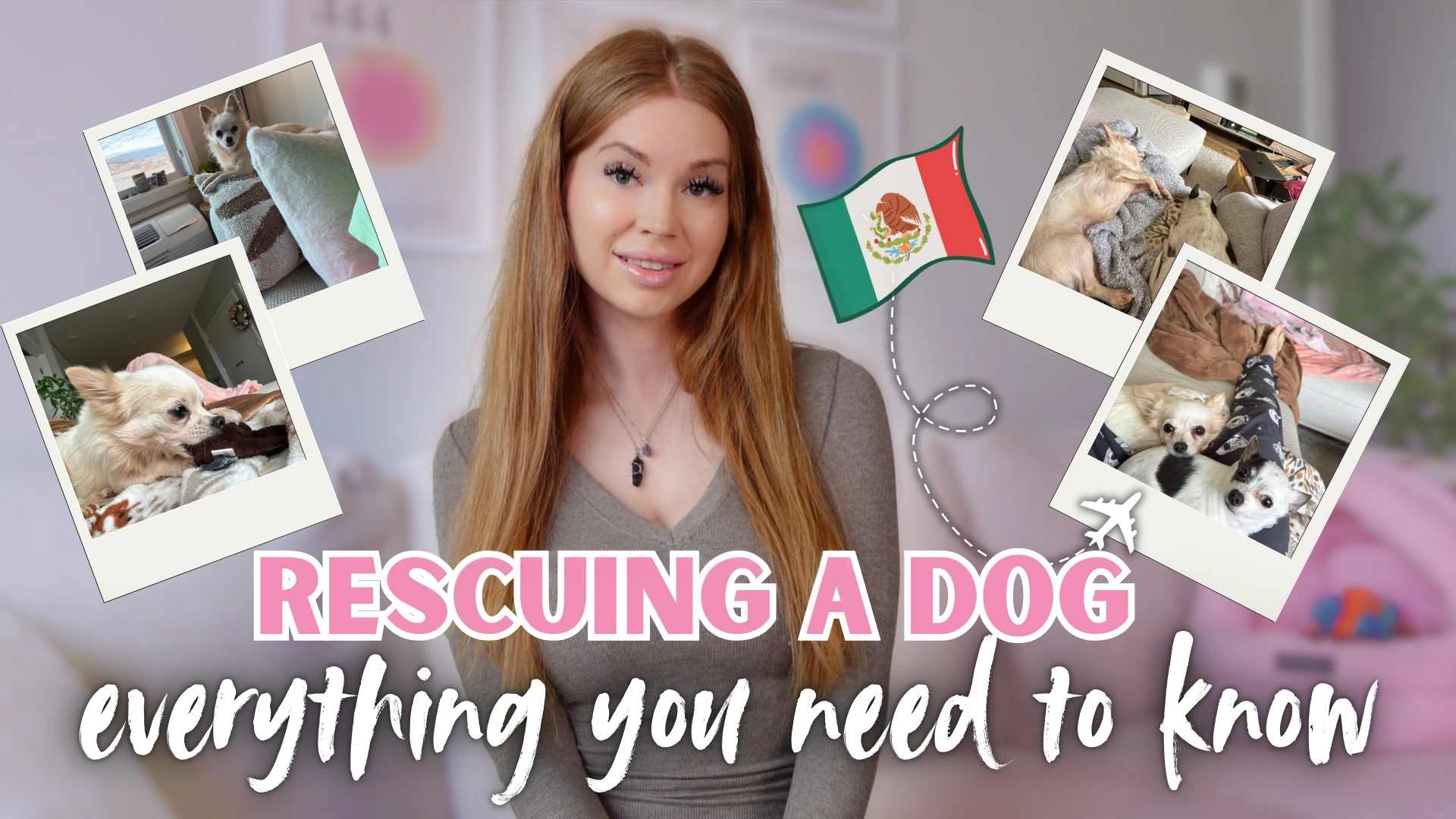 Rescuing a Dog: What You Need to Know