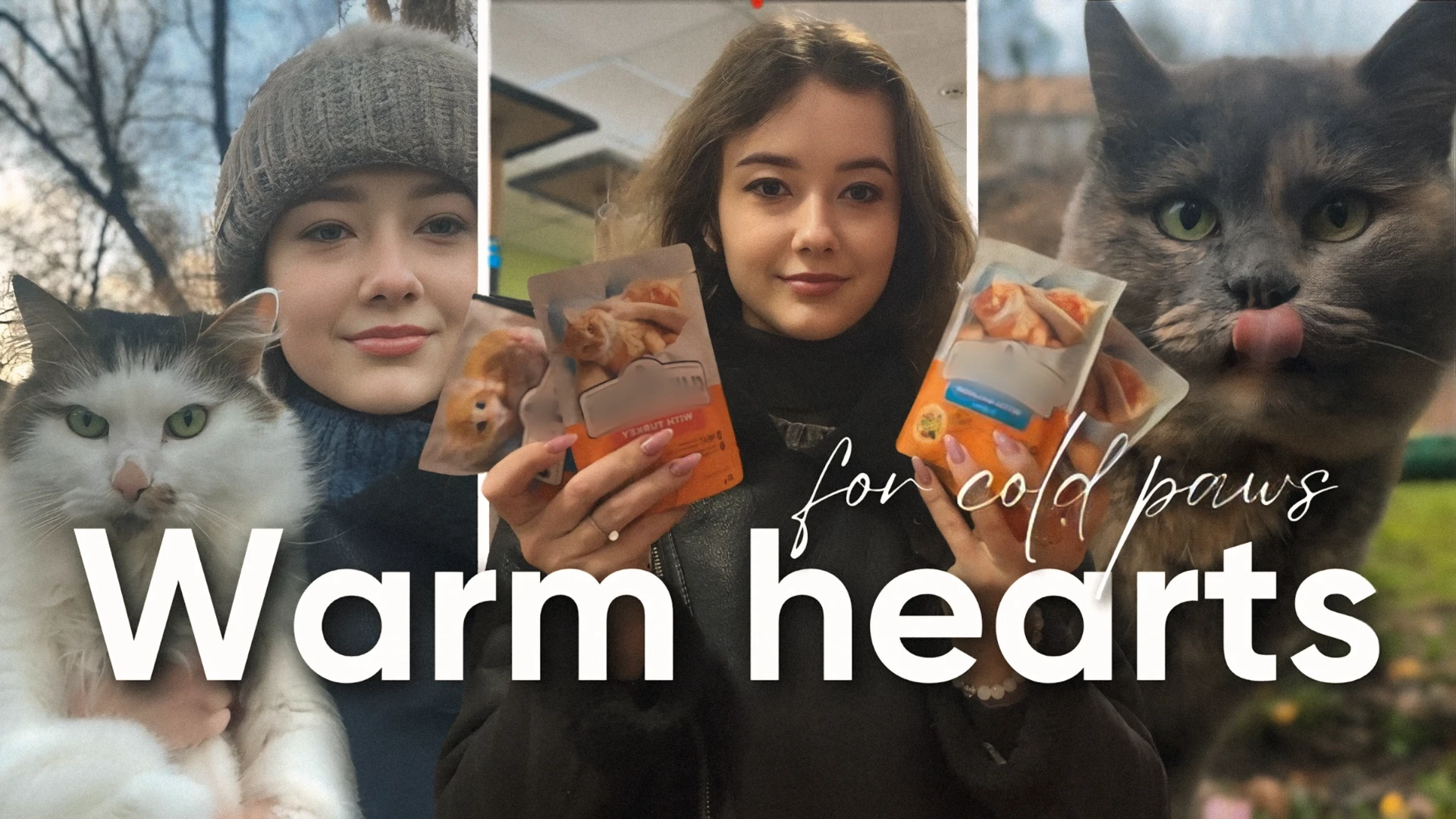 Warm Hearts for Cold Paws