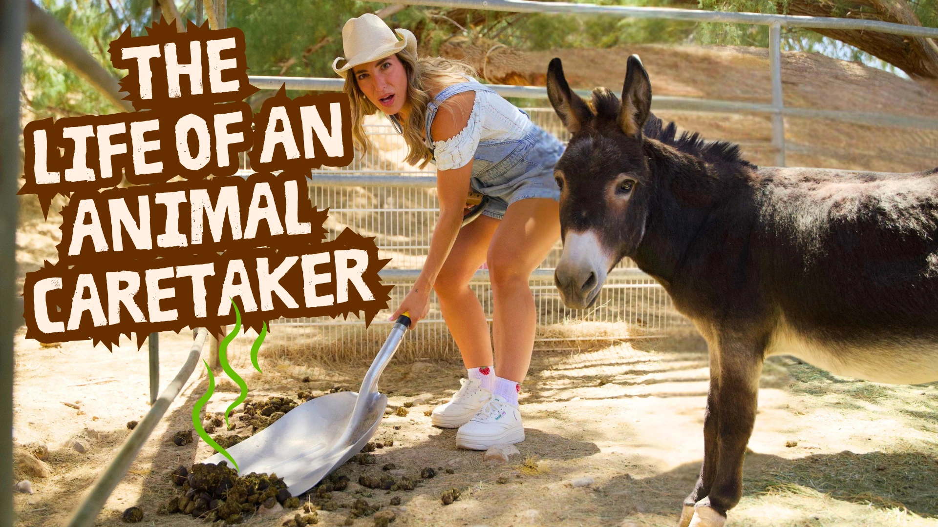 Inside an Animal Rescue Sanctuary