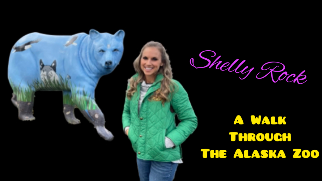 A Walk Through the Alaska Zoo