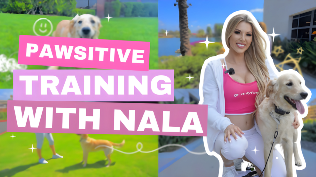 Pawsitive Training With Nala