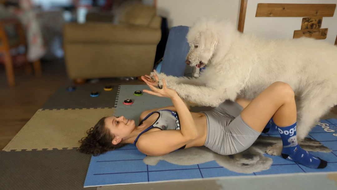 Reverse Balancing Table with My Dog