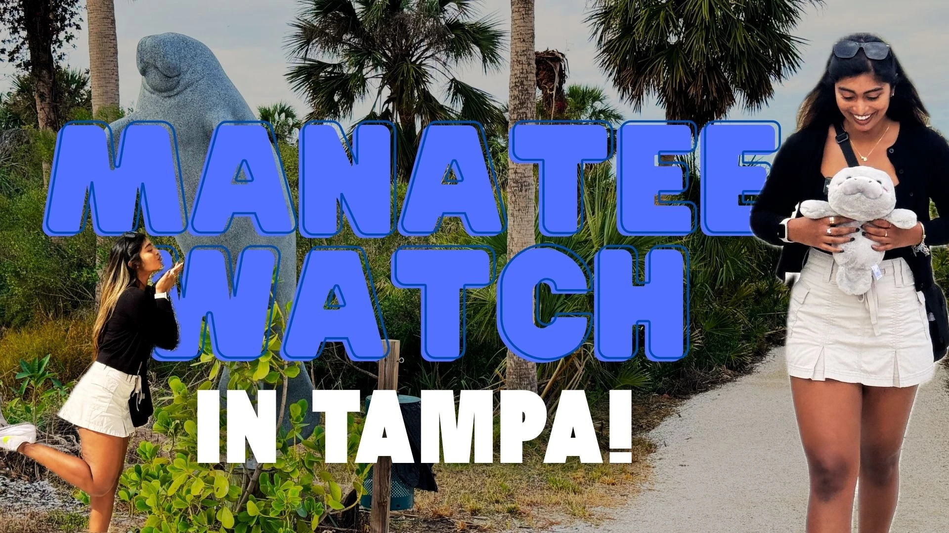 Manatee Watch With Me in Tampa!