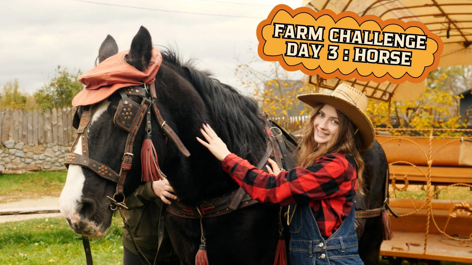 Farm Challenge — Day 3: Horse Power