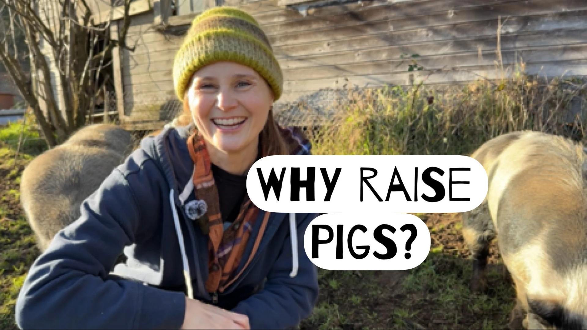 Why Raise Pigs?