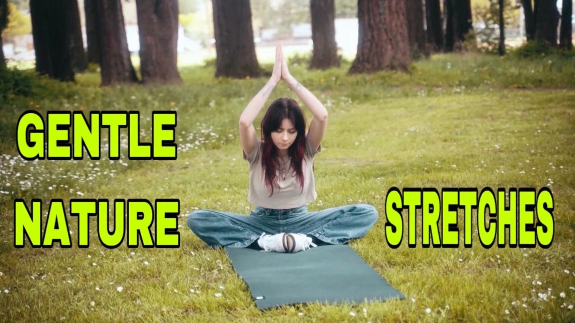 Gentle Nature Stretches