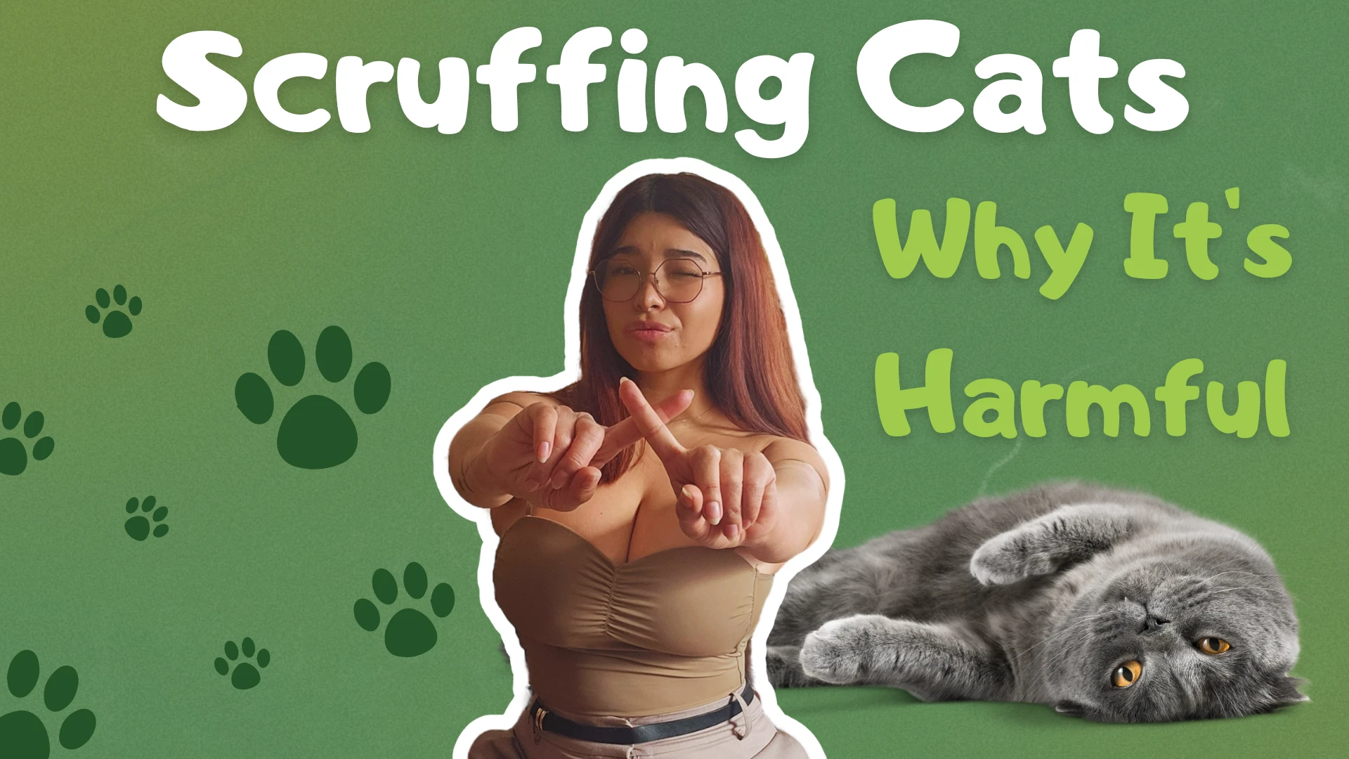 The Shocking Truth About Scruffing Cats