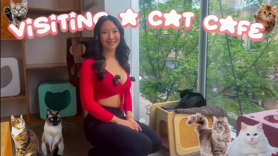 Visiting a Cat Cafe with Fay Ree