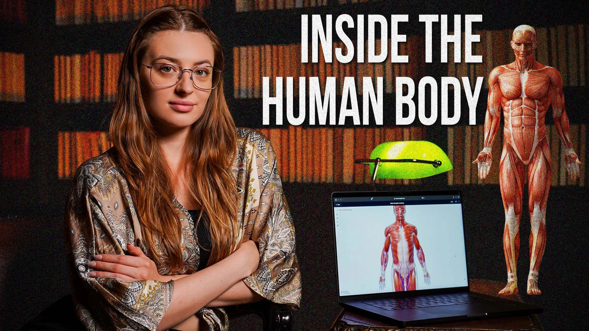 Inside the Human Body
