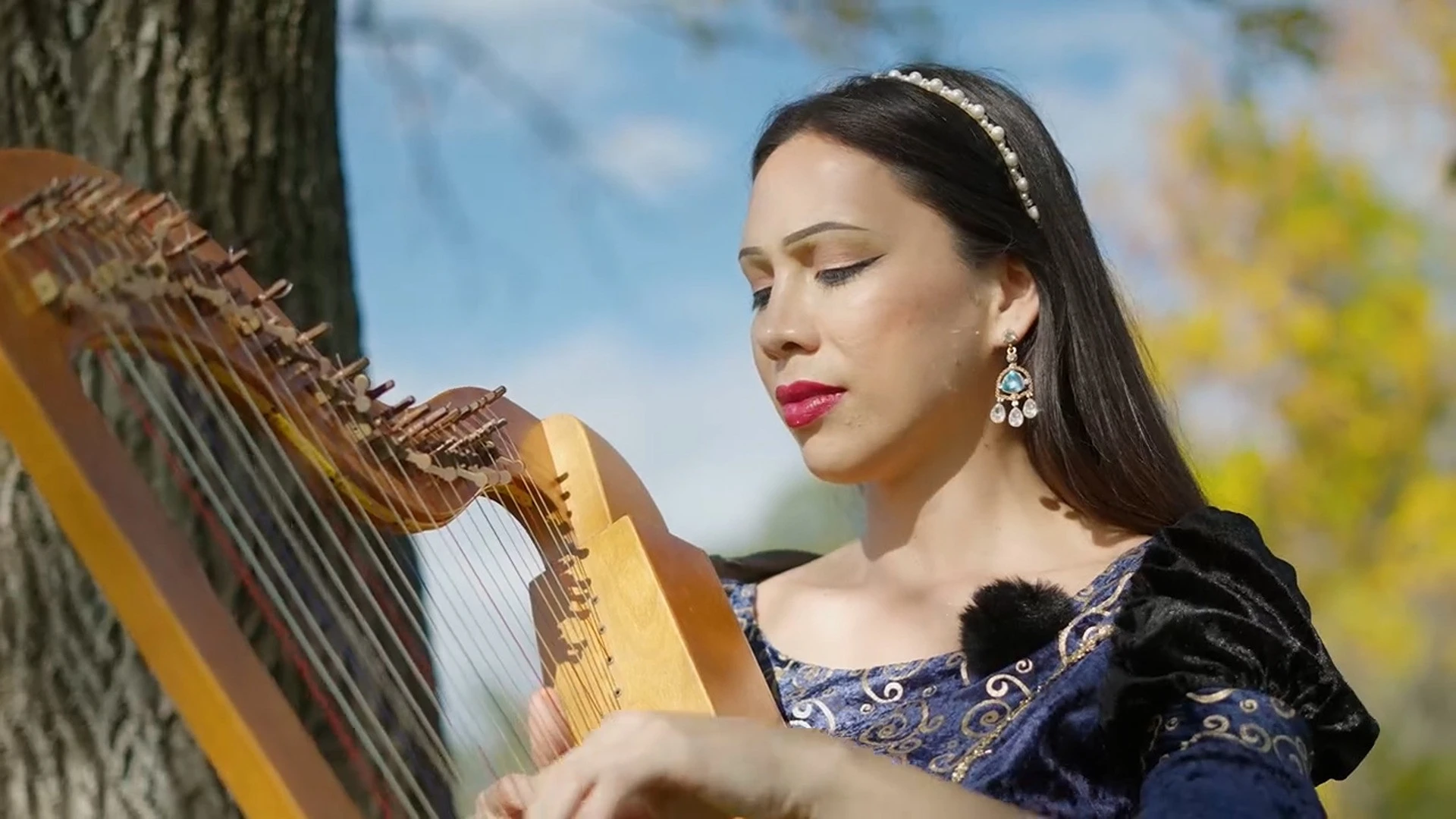 My Celtic Harp Album