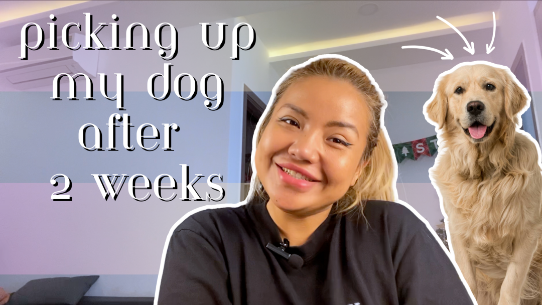 Picking Up My Dog After 2 Weeks