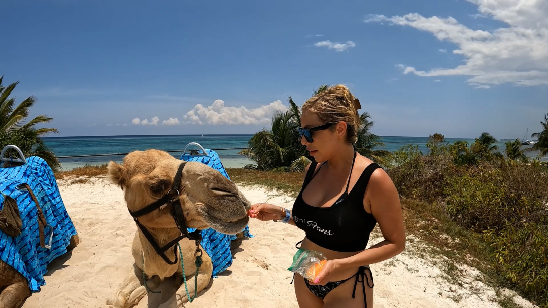 Camel Riding in Maroma Beach!