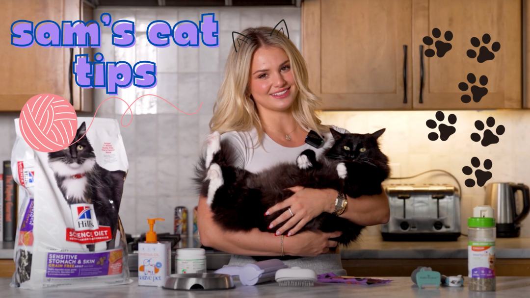 Sam's Cat Tips