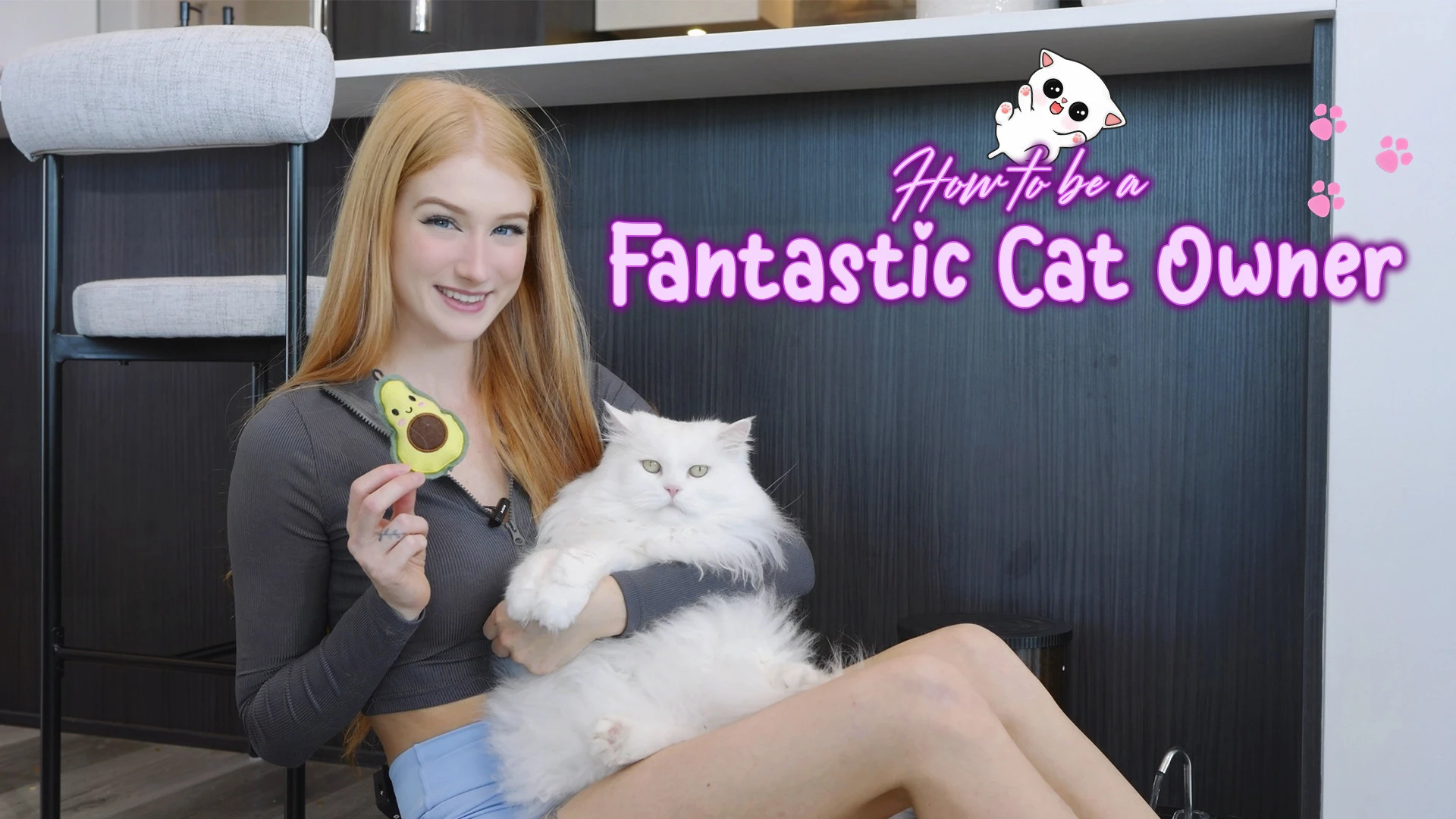 How to Be the Best Cat Owner