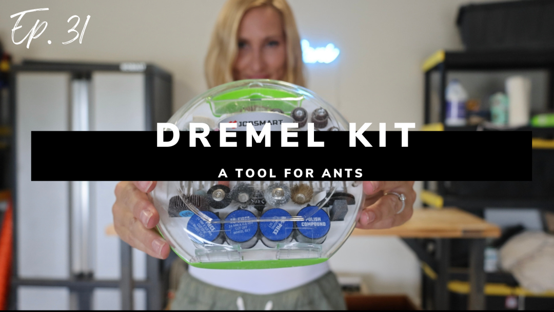 Dremel Kit: A Tool for Ants