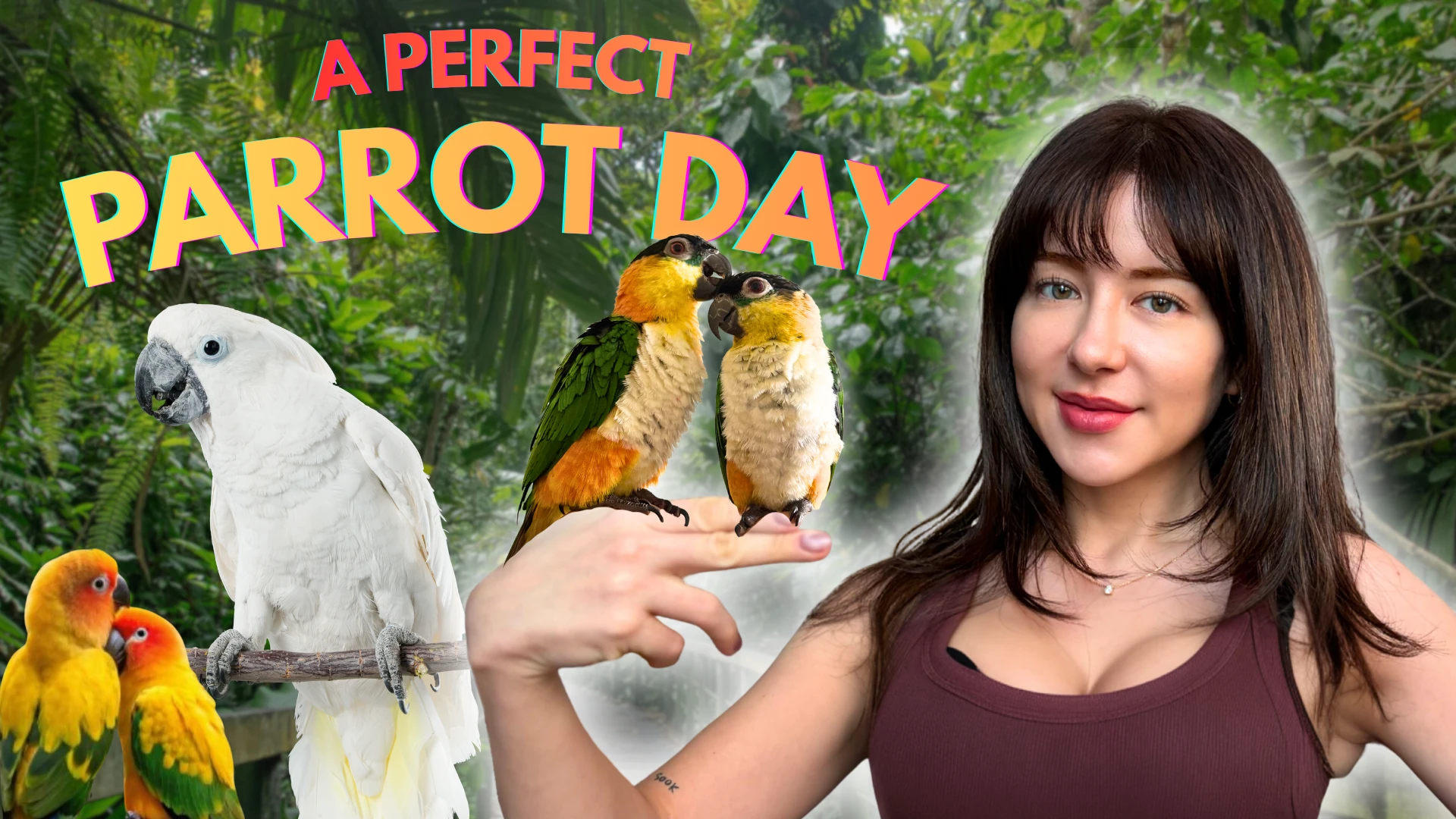 A Parrot Lover’s Perfect Day