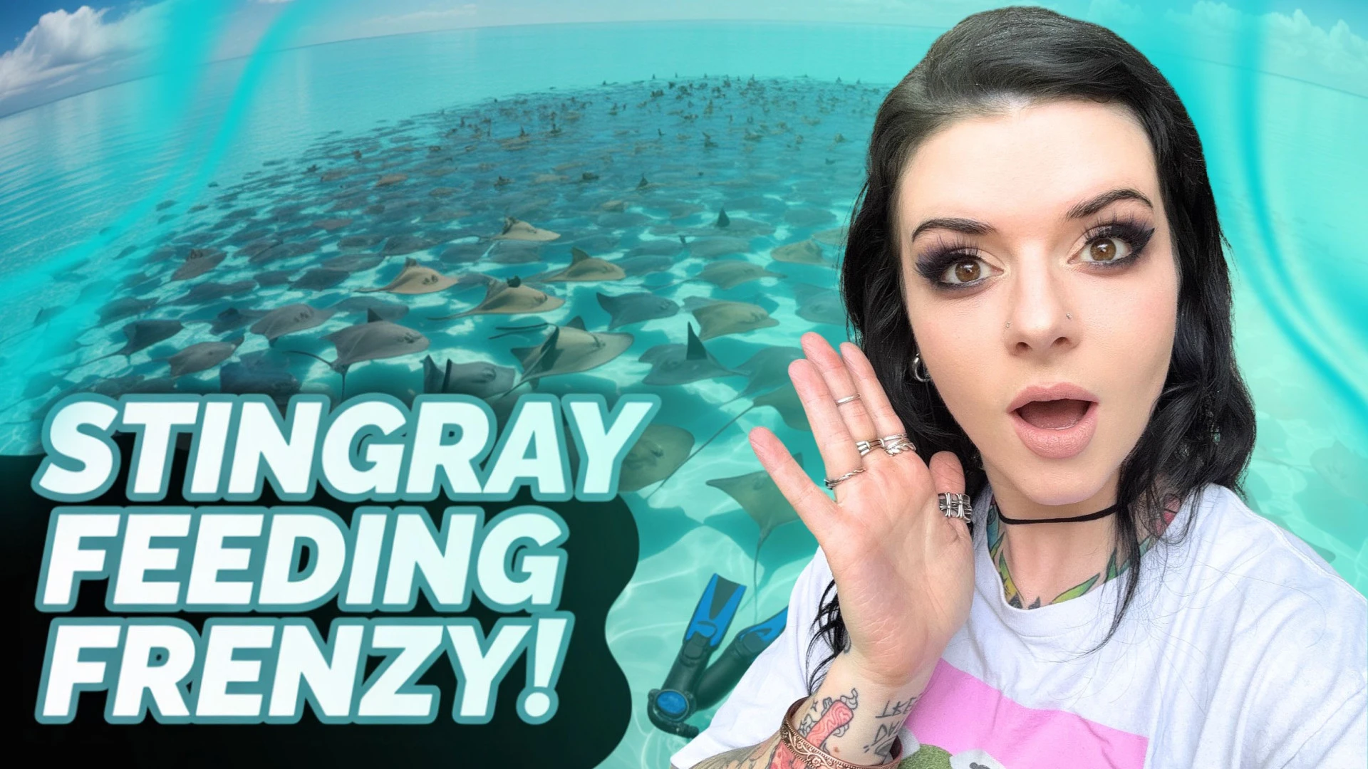 Feeding Stingrays!
