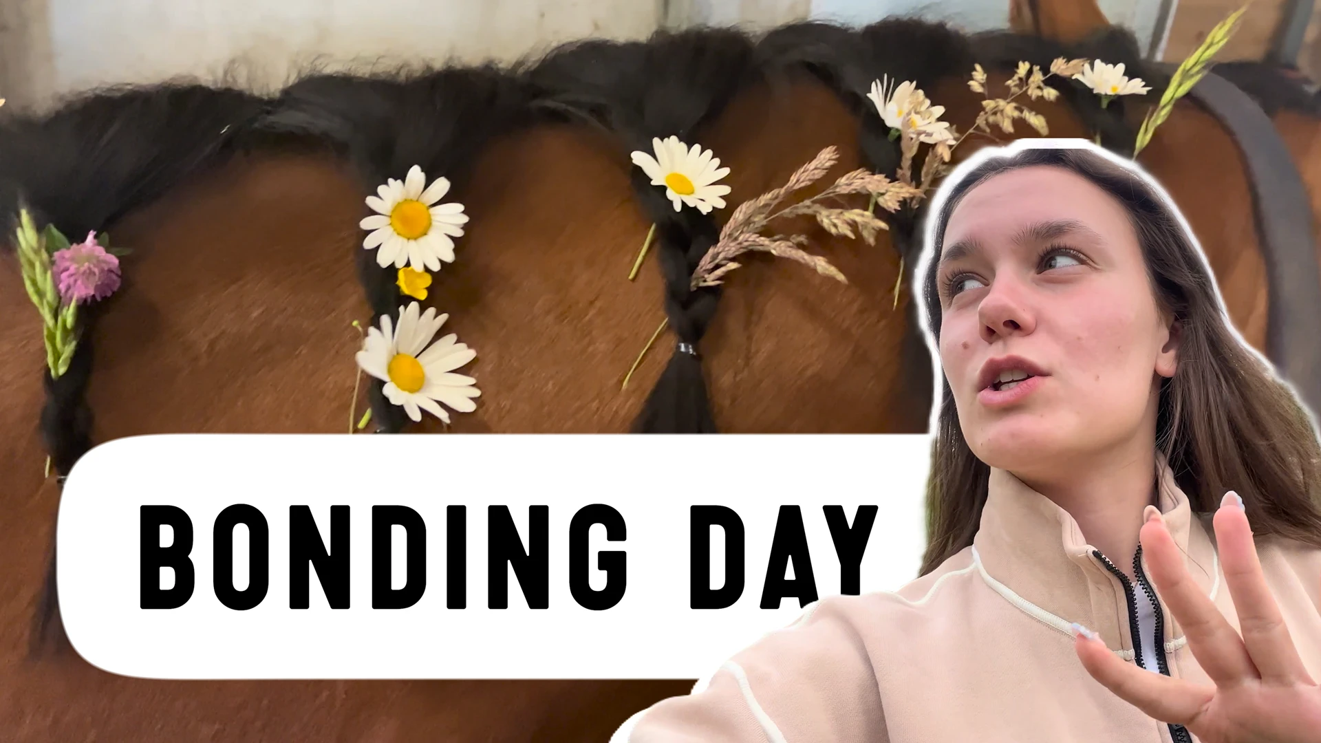 A Cute Bonding Day with My Horse